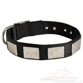 Nylon Collar with Attractive Plates for Great Dane