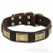 Leather Great Dane Collar with Brass Plates