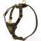 Royal Design Puppy Leather Great Dane Harness