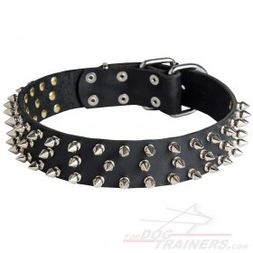 Unique Leather Great Dane Collar with 3 Rows of Spikes