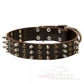Gorgeous Leather Great Dane Collar for Stylish Walking