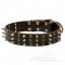 Gorgeous Leather Great Dane Collar for Stylish Walking