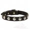 Leather Dog Collar with Nickel Half-Ball Studs for Great Dane