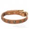 Studded Leather Dog Collar for Great Dane