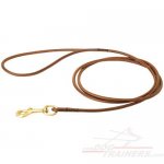 Amazing Show Leather Leash for Great Dane