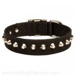 Wide Nylon Dog Collar for Great Dane