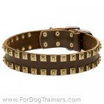 Designer Studded Leather Great Dane Collar