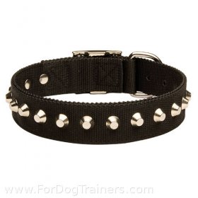 Wide Nylon Dog Collar for Great Dane