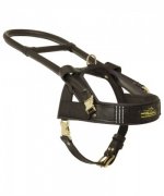 Leather Guide Great Dane Harness with Long Handle