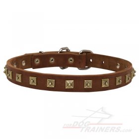 Great Dane leather dog collar 25mm - "Caterpillar"