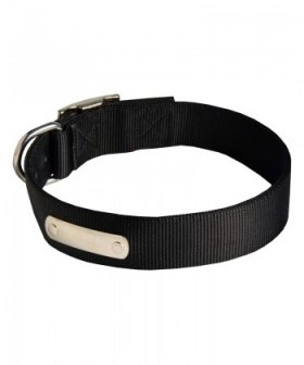 Time-proof Nylon Great Dane Collar with Name Tag