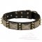Designer Leather Dog Collar for Great Dane Daily Outings