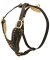 Designer Nappa Padded Leather Great Dane Harness