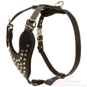 Stylish Leather Great Dane Harness with Nickel Plated Pyramids
