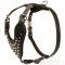 Stylish Leather Great Dane Harness with Nickel Plated Pyramids