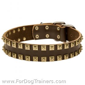 Designer Studded Leather Great Dane Collar