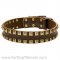 Designer Studded Leather Great Dane Collar