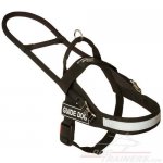 Guide Nylon Great Dane Harness