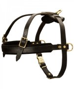 Leather Great Dane Harness for Pulling, Tracking and Walking