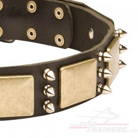 Fancy Leather Great Dane Collar with Spikes and Plates