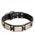 High Quality Leather Great Dane Collar with Nickel Plated Studs and Plates