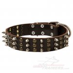 Gorgeous Leather Great Dane Collar for Stylish Walking