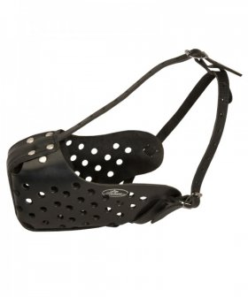 Strong Leather Great Dane Muzzle for Agitation Training