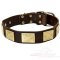 Stylish Leather Great Dane Collar with Nickel Plates
