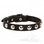 Leather Dog Collar with Nickel Half-Ball Studs for Great Dane