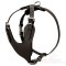 Easily Adjustable Comfy Leather Great Dane Harness
