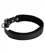 Padded Leather dog collar for Great Dane - 1 inch (25 mm) wide