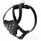 Spiked Leather Great Dane Puppy Harness with Padded Chest Plate