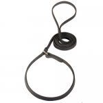 Great Dane Dog Leather Leash and Collar in One