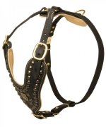 Designer Nappa Padded Leather Great Dane Harness