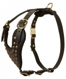 Leather Great Dane Harness with Brass Studs