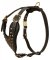 Leather Great Dane Harness with Brass Studs