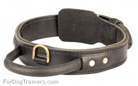Super Strong and Comfy 2 Ply Leather Collar for Great Dane