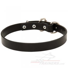 Leather dog collar for Great Dane