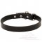 Leather dog collar for Great Dane