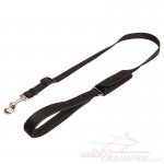Safe-&-Sound Car Trip Dog Leash for Great Dane