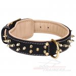 Spiked Leather Great Dane Collar with Nappa Padding