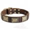 Leather Great Dane Collar with Massive Gold-Like Plates