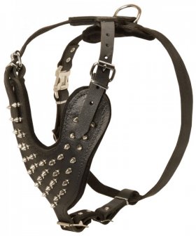Spiked Leather Great Dane Harness for Fashion Dog Walking