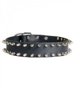 Wide Great Dane Spiked Collar of Pure Leather
