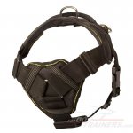 Multifunctional Nylon Dog Harness for Great Dane
