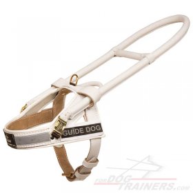 White Leather Dog Harness for Guide Great Danes