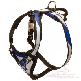 Painted Dog Harness for Great Dane Training and Walking