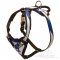 Painted Dog Harness for Great Dane Training and Walking