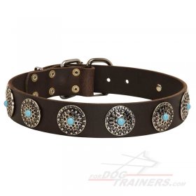 Walking Leather Great Dane Collar with Nickel Circles and Blue Stones