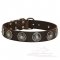 Walking Leather Great Dane Collar with Nickel Circles and Blue Stones